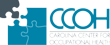CCOH begins scheduling 2012 Flu Clinics